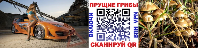Псилоцибиновые грибы мицелий гидра ONION Мураши где купить наркоту